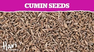 Spotlight on Spices  Cumin Seeds [upl. by Sunday222]