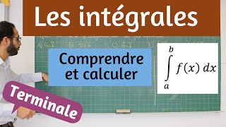 Les intégrales [upl. by Adihsaar]