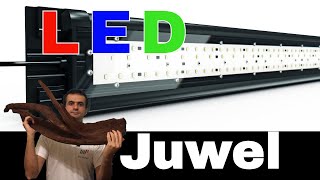 LED upgrade for Juwel Rio 240 [upl. by Llevra]