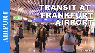 TRANSIT WALK AT FRANKFURT Airport FRA Terminal 1  Connection Flight Transfer Arriving amp Departing [upl. by Atinid]