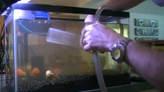 10 Gallon Aqarium Cleaning Tutorial Episode 5 [upl. by Llenwad626]