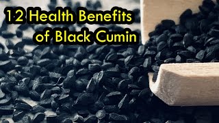 12 Health Benefits of Black Cumin [upl. by Higley415]