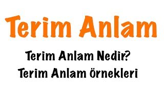 Terim Anlam Nedir Terim Anlam Konu Anlatımı [upl. by Isleana]