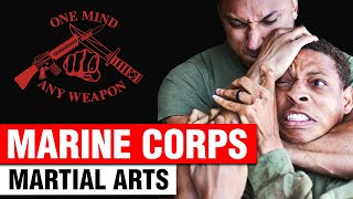 Marine Corps Martial Arts Program MCMAP [upl. by Hooke]