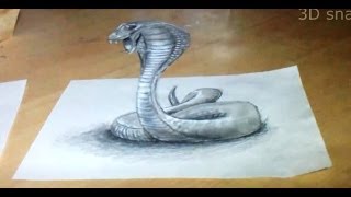 Anamorphic illusion Drawing Snake 3D  Time Lapse [upl. by Aihsotal]