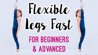 Get Flexible Legs Stretches for Leg amp Hip Flexibility [upl. by Garret]