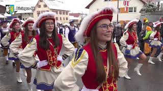 Narrentreffen 50 Jahre Speckmockelzunft Bösingen am 03 02 2019 [upl. by Ellinehc364]