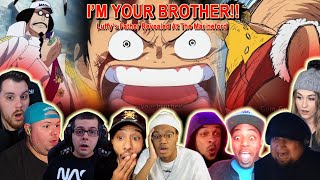 IM YOUR BROTHER Luffys Father Revealed At The Marineford  Reaction Mashup One Piece [upl. by Colp601]