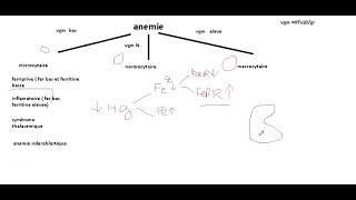 cours danémie partie 1 microcytaire [upl. by Vedis]